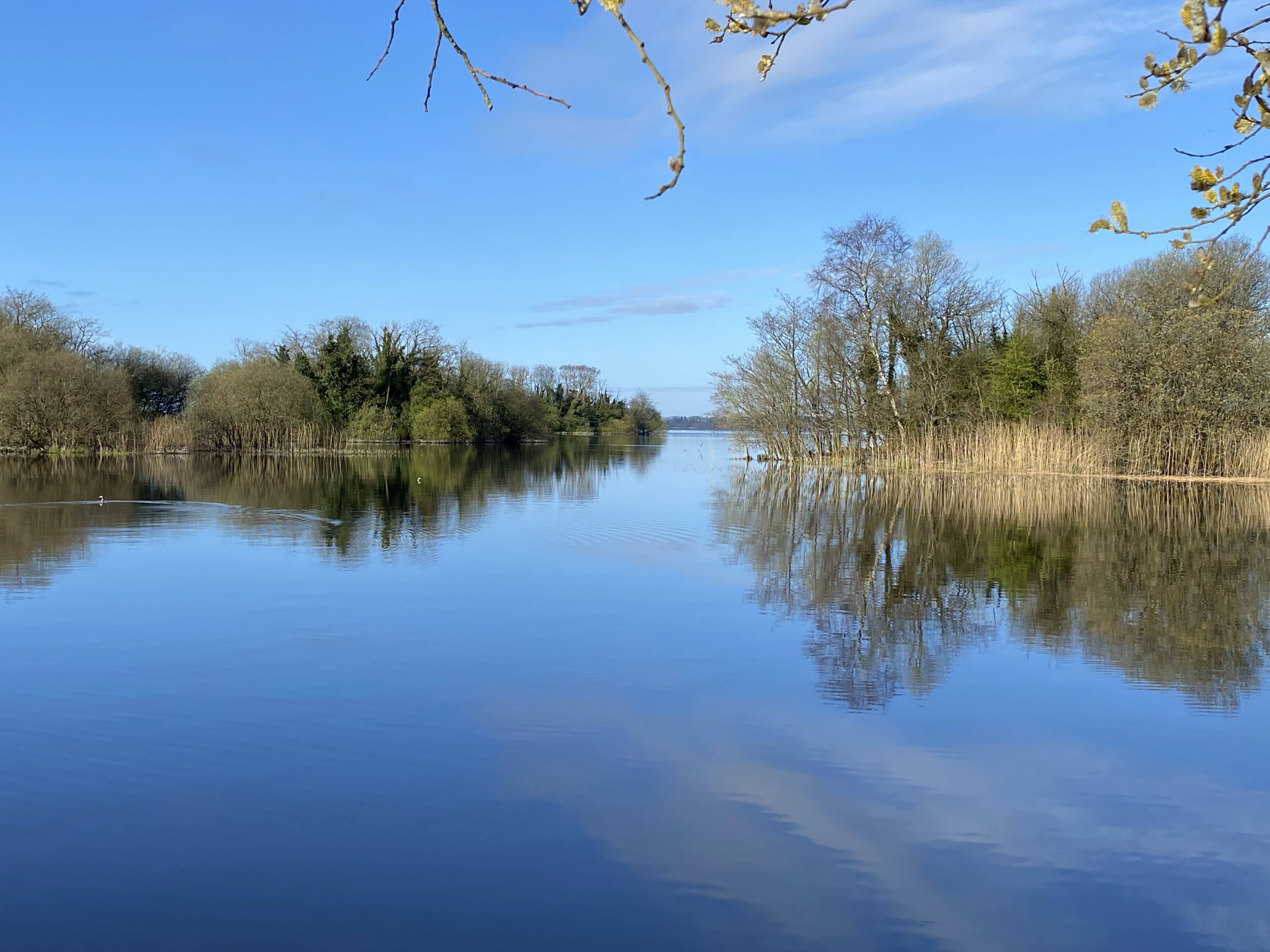 Lough Sheelin
