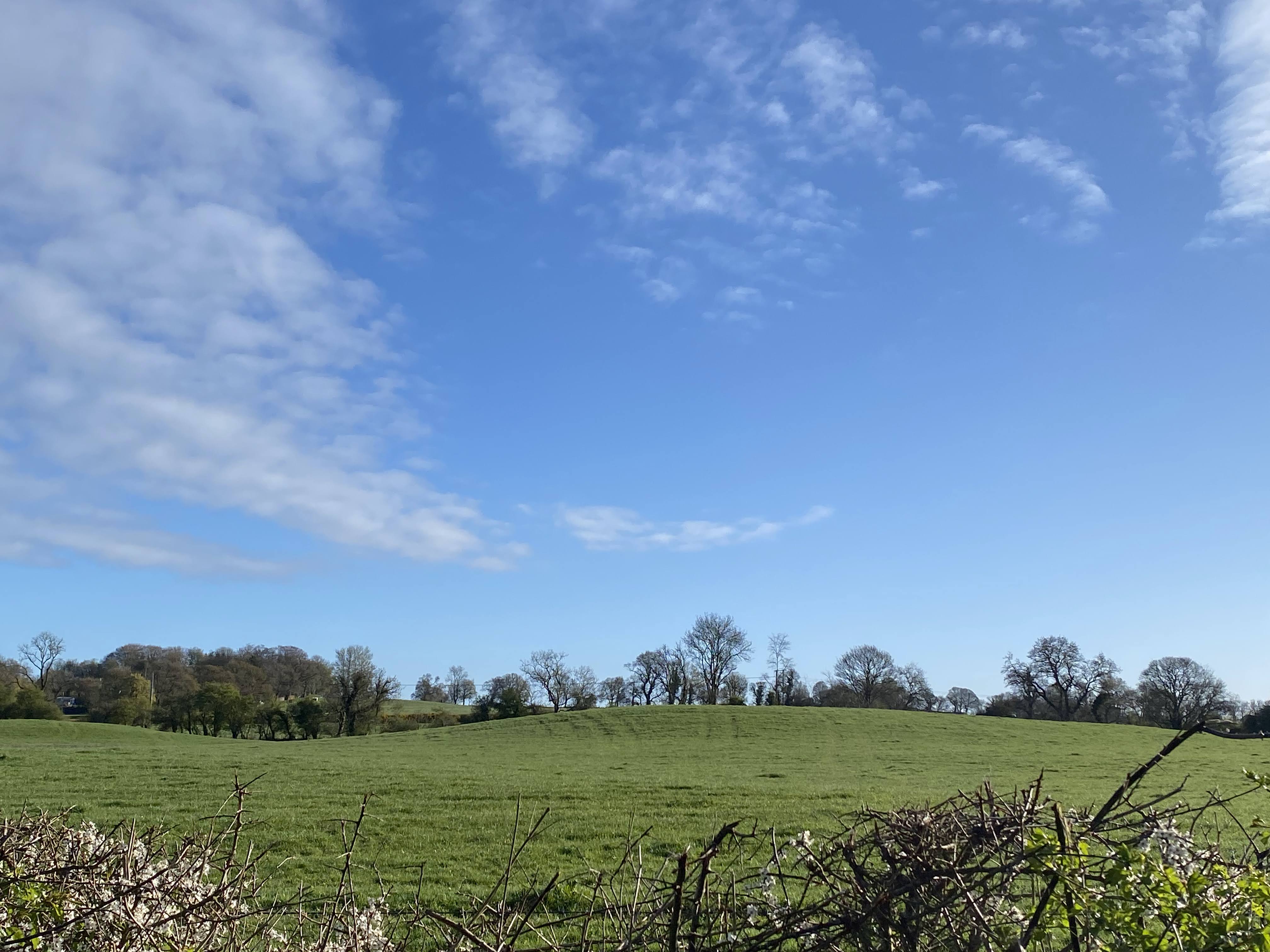 Co. Cavan countryside