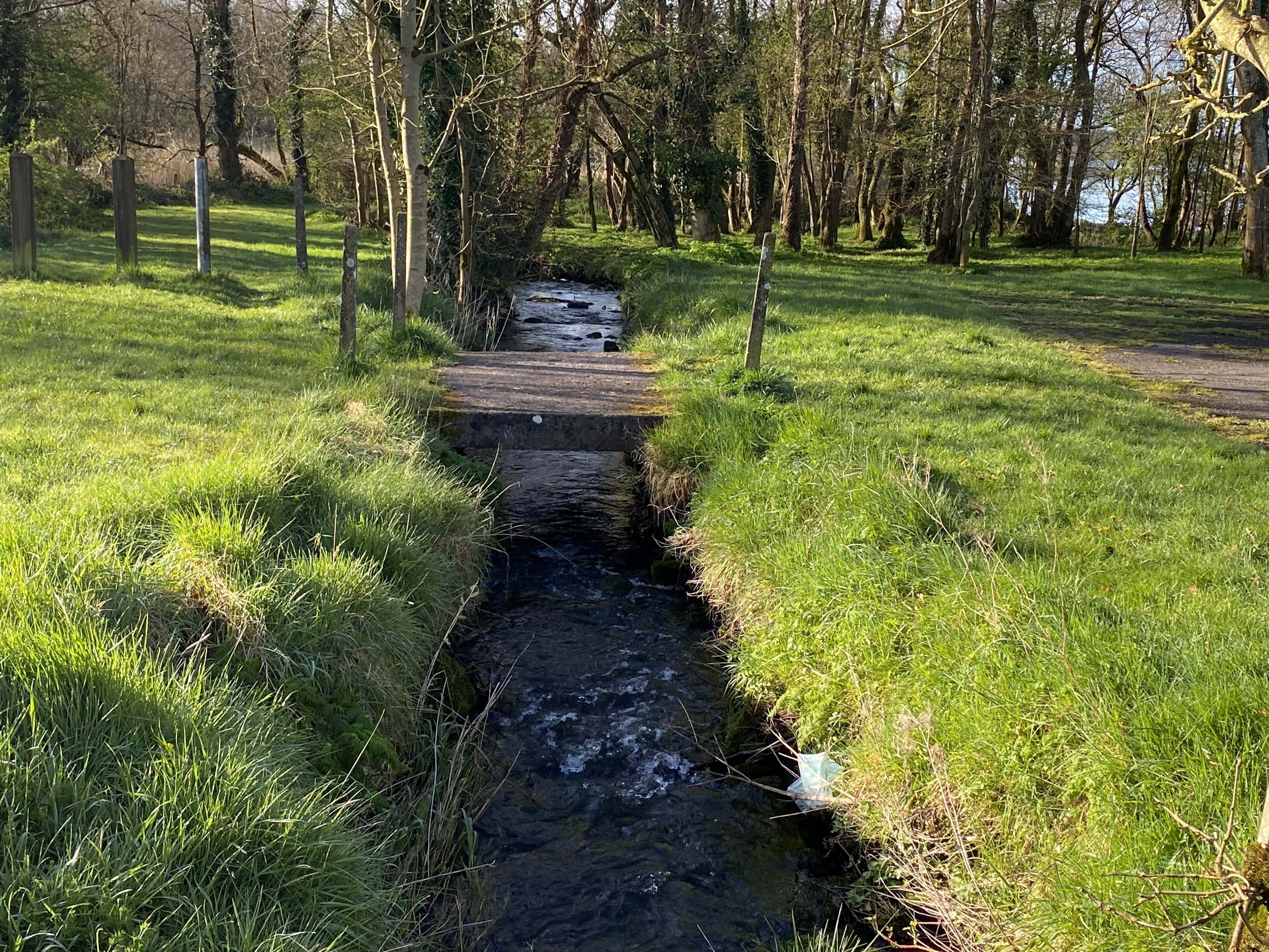 Stream and woodland