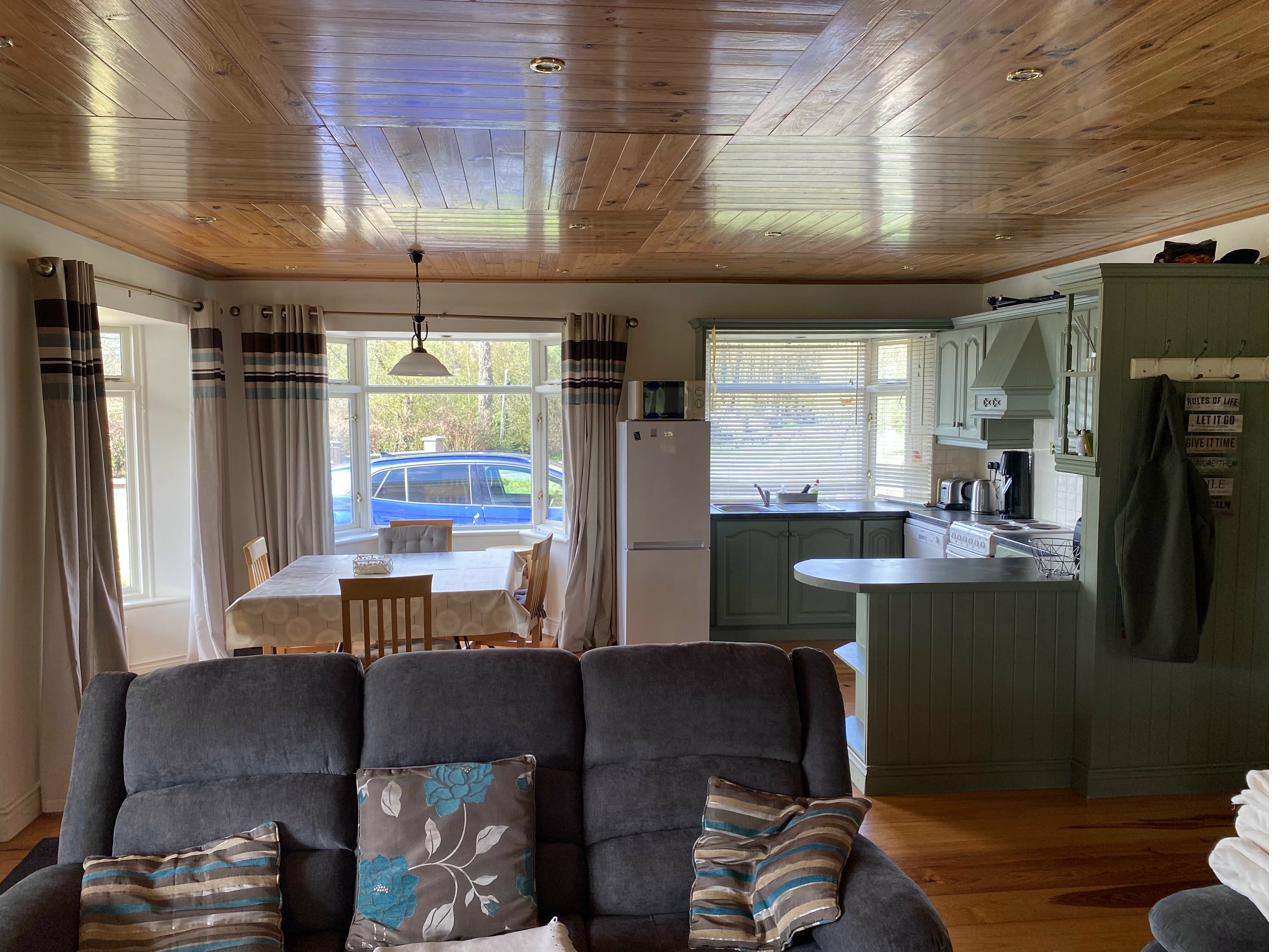 Open plan living and kitchen