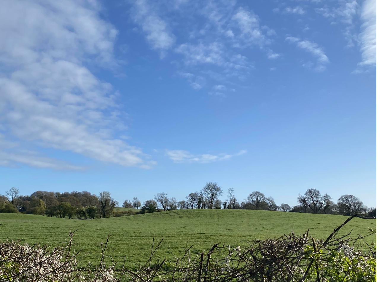 Co. Cavan countryside